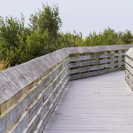 Marlin Street Tomehome A South Padre Island Exterior photo